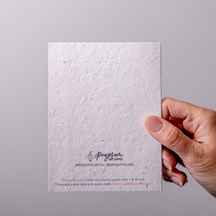 Winter Penguinland - Seed Paper Card - Seed Paper Cards | Pengram Studio