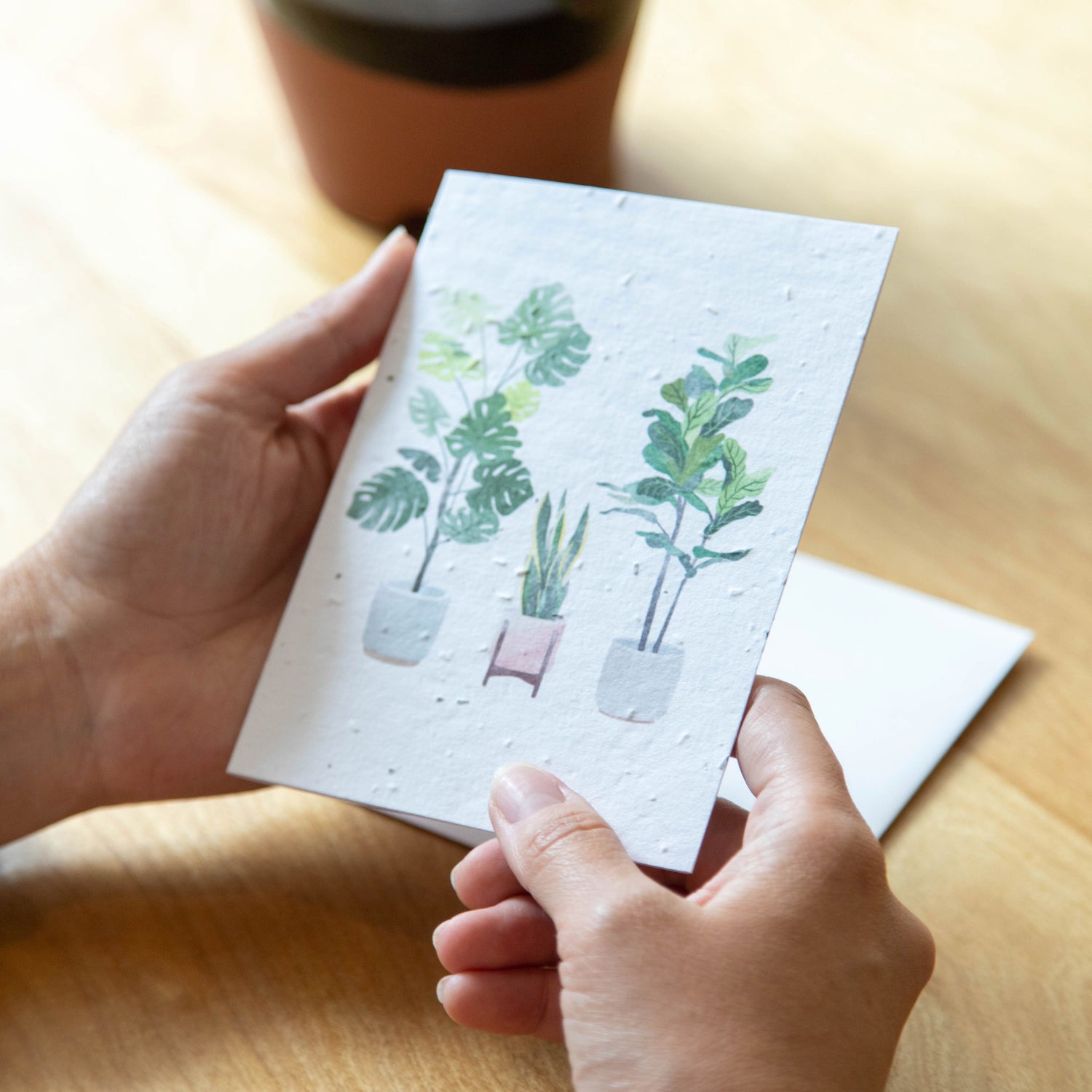House Plants - Seed Paper Card - Seed Paper Cards | Pengram Studio