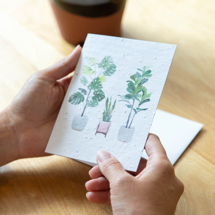 House Plants - Seed Paper Card - Seed Paper Cards | Pengram Studio