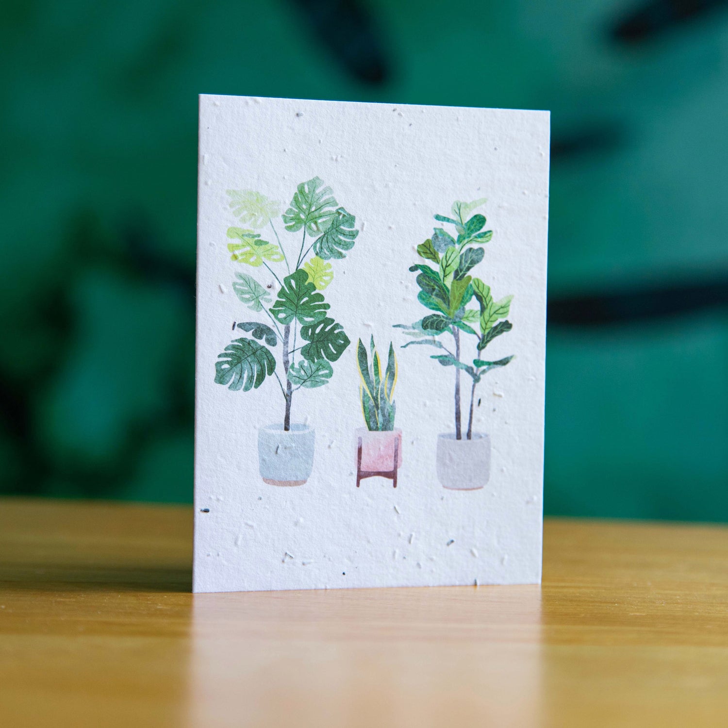 House Plants - Seed Paper Card - Seed Paper Cards | Pengram Studio