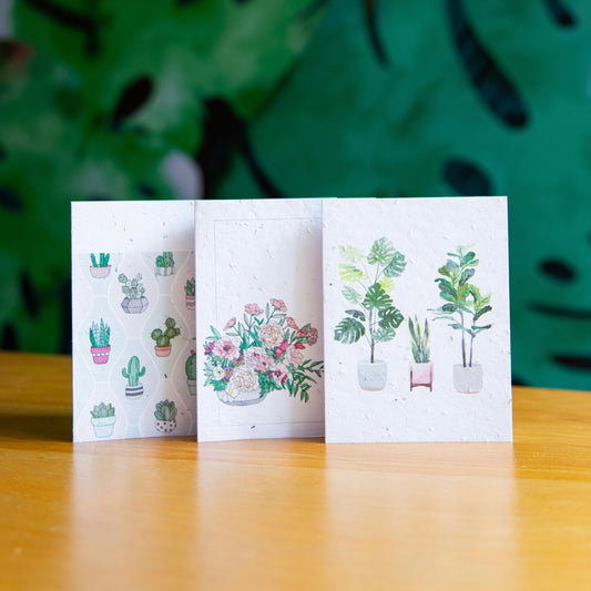 Trio Card Bundle - Seed Paper Card - Card Bundles | Pengram Studio