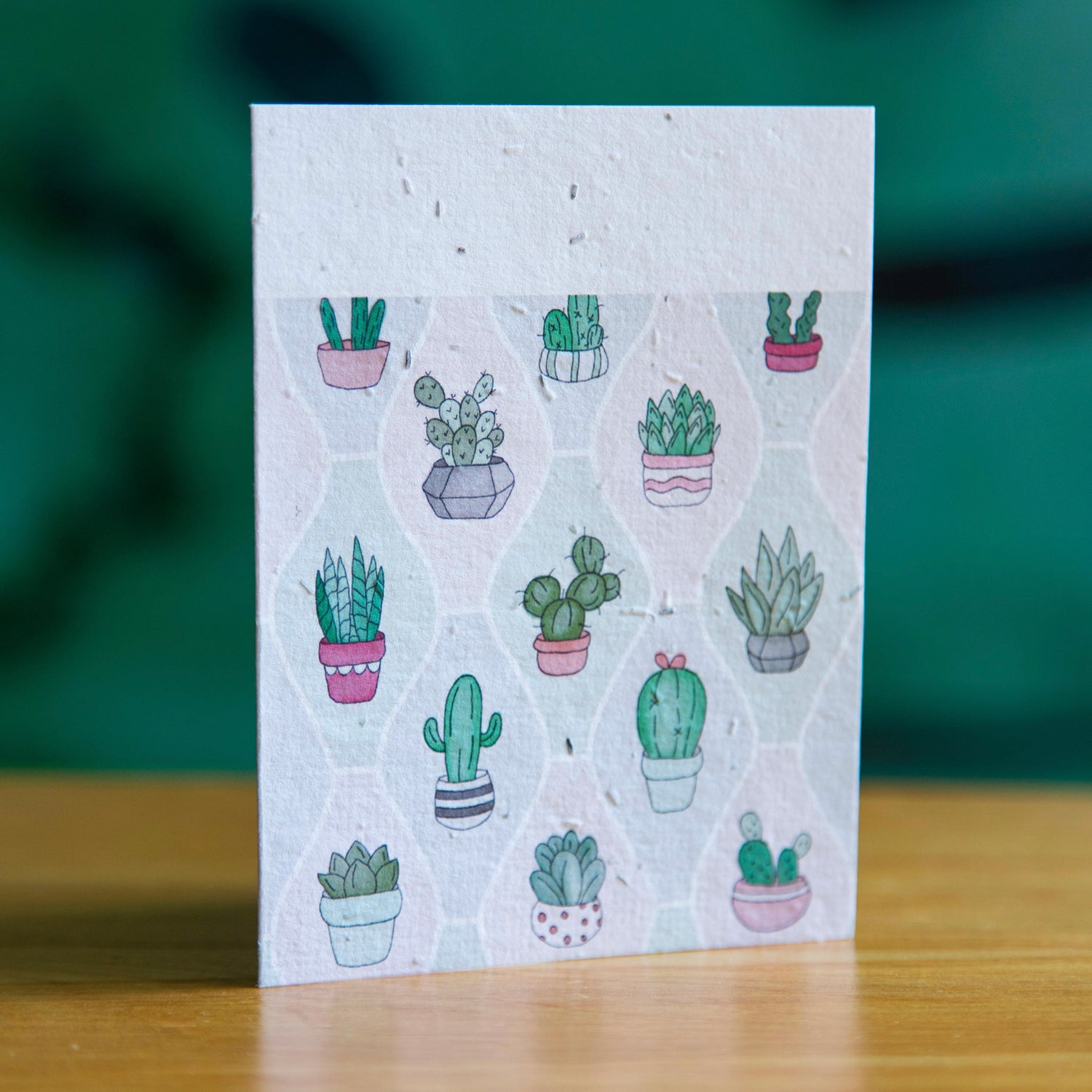 Cacti & Succulents - Seed Paper Card - Seed Paper Cards | Pengram Studio