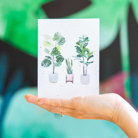 House Plants - Seed Paper Card - Seed Paper Cards | Pengram Studio